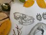 03.014.17 Набор для вышивания Марья Искусница "Зоология. Лисица обыкновенная"