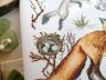 03.014.17 Набор для вышивания Марья Искусница "Зоология. Лисица обыкновенная"