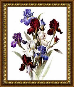 Алмазная мозаика DIY "Разноцветные ирисы" S-004