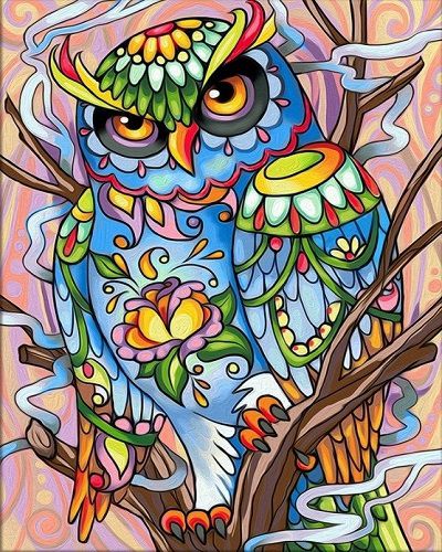 GX28418 Картина по номерам Paintboy "Цветной филин"